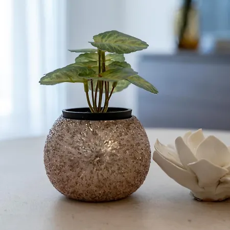 Modern Zia Lux Apartment *