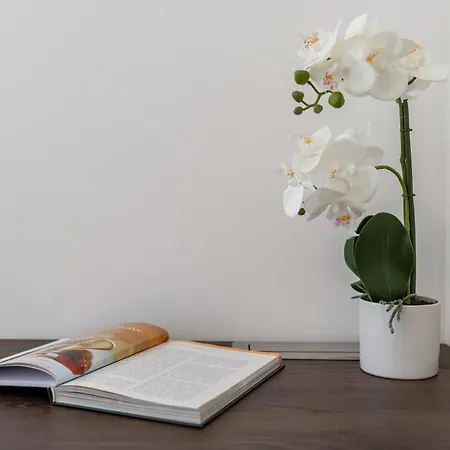 Modern Zia Lux Apartment Split