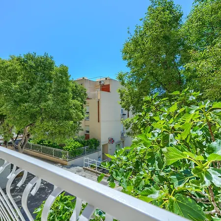 Modern Zia Lux * Split