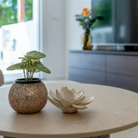 Modern Zia Lux * Split