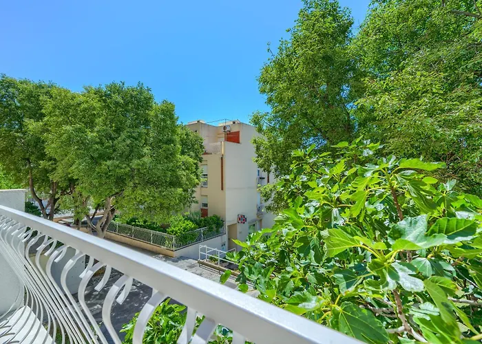 Modern Zia Lux * 스플리트