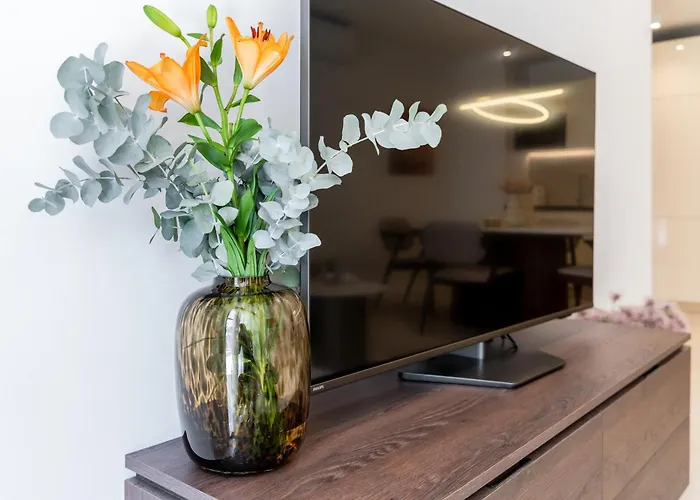 Modern Zia Lux * 스플리트