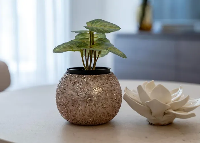 Modern Zia Lux 아파트 *