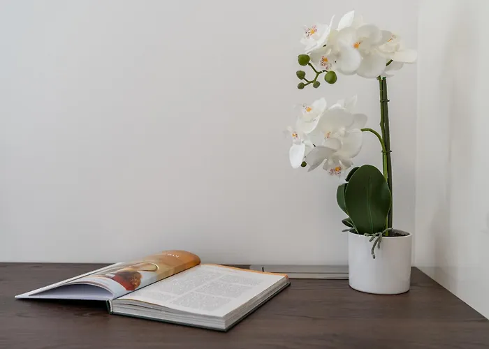 Modern Zia Lux 아파트 스플리트