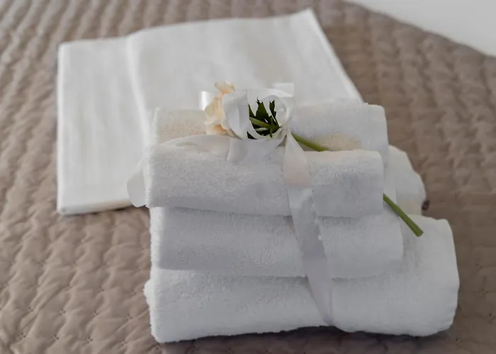 Modern Zia Lux 스플리트