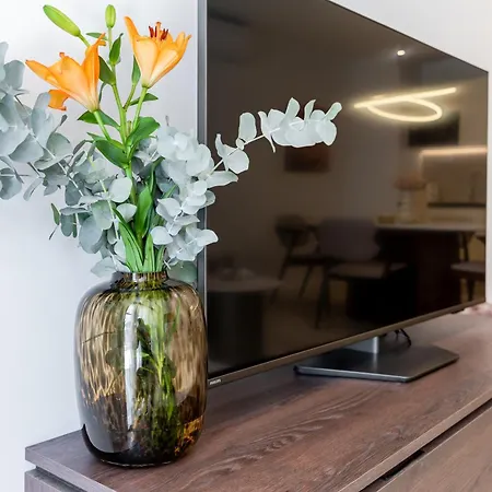 Modern Zia Lux * Спліт